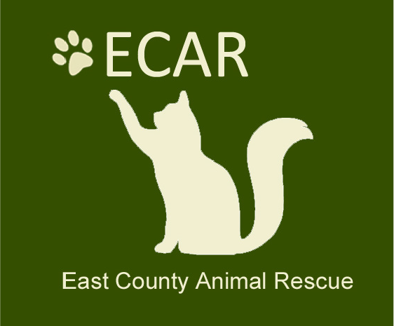 EAST COUNTY ANIMAL RESCUE