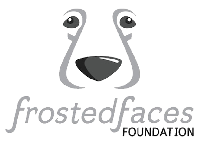 Frosted Faces Foundation