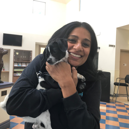 Animal People: Geraldine D’Silva | San Diego Humane Society