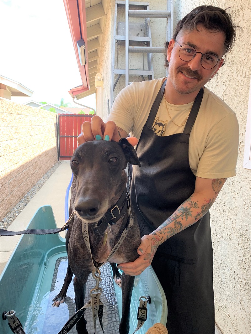 Julien with 2 greyhounds 