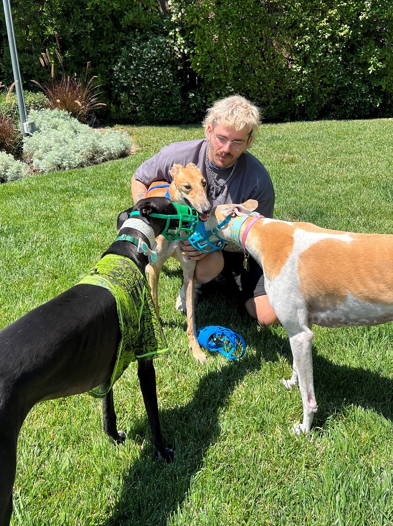 Julien with 2 greyhounds 