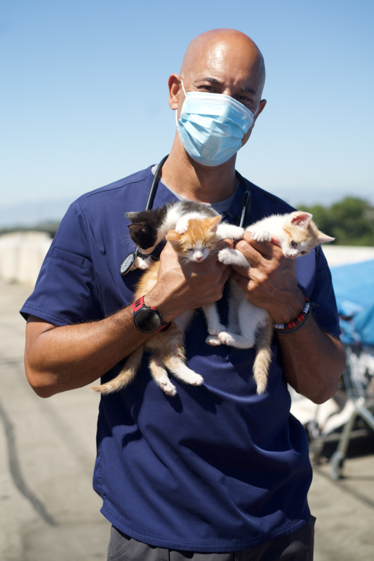 Stewart holding kittens