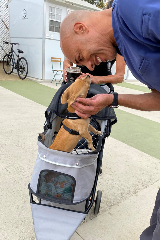 Stewart with puppy