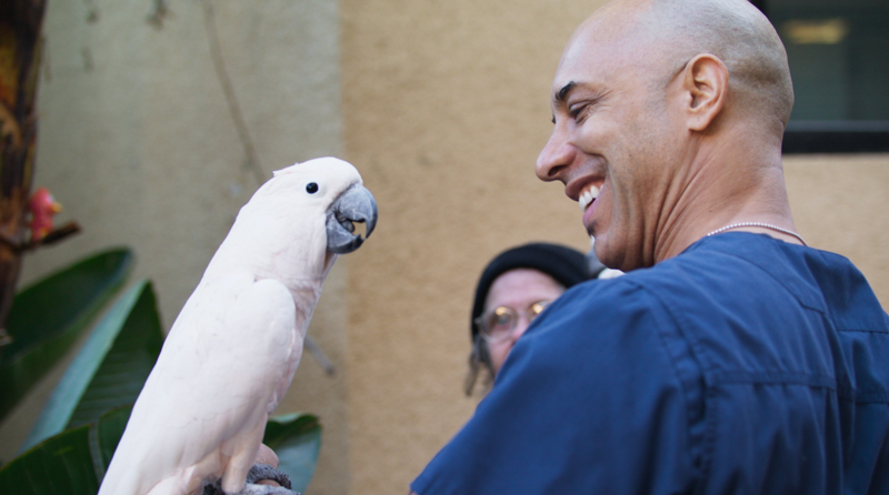 Stewart with bird named Barbara