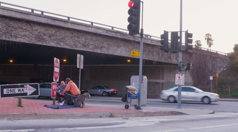 Steward with homeless man and dog