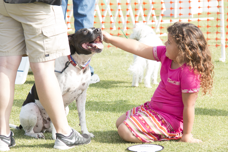 Girl petting a dog