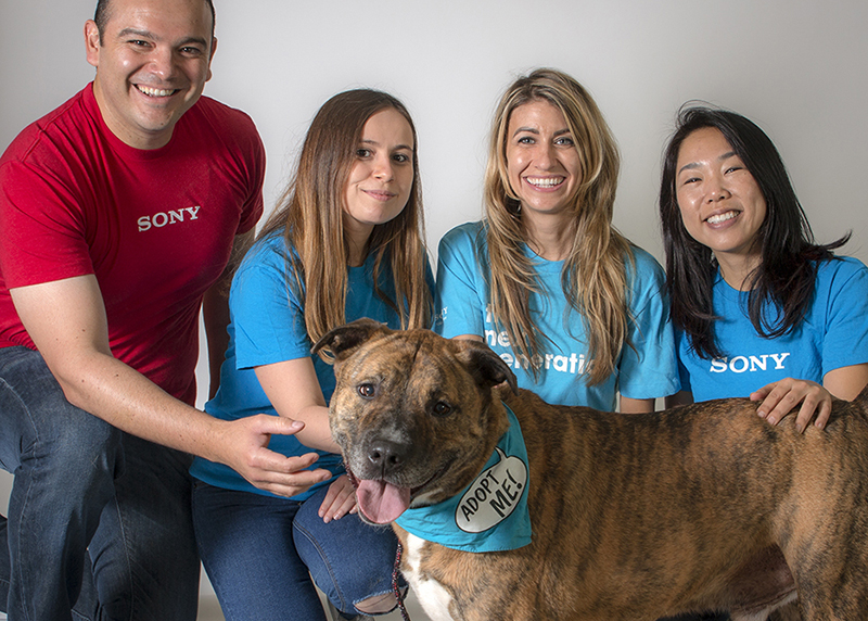 Get Your Group in Gear to Volunteer San Diego Humane Society