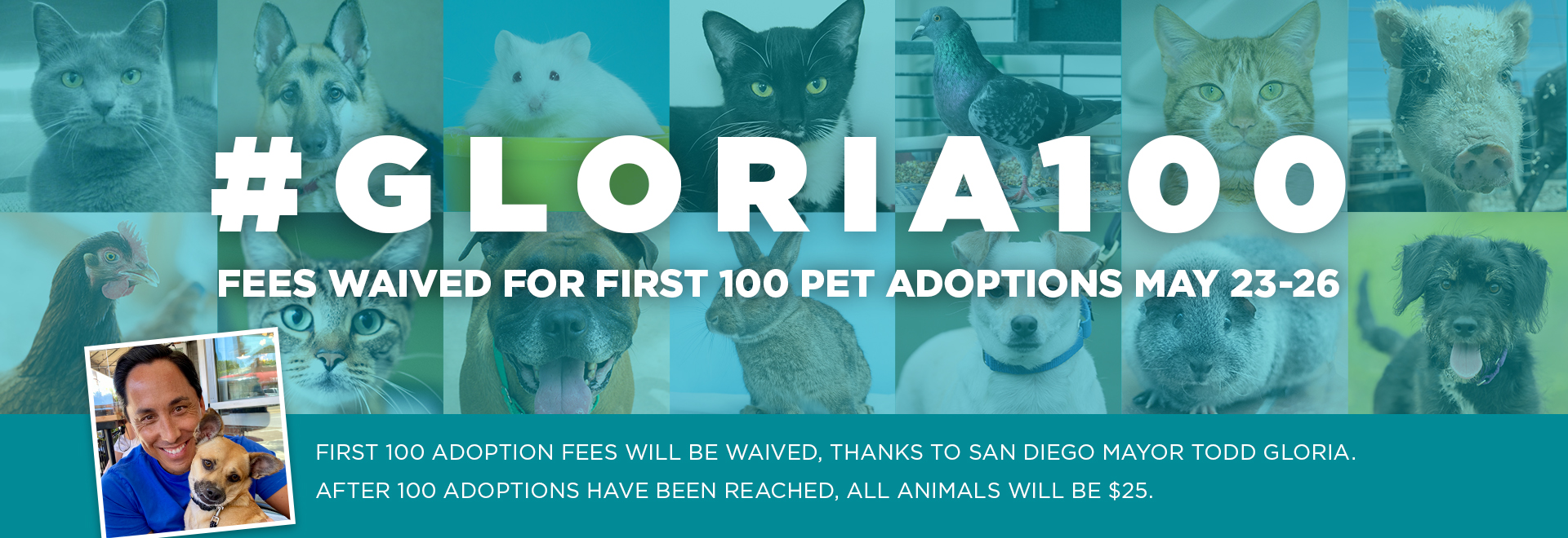 #Gloria100 Fees waived for first 100 pet adoptions May 23-26 | First 100 adoption fees will be waived, thanks to San Diego mayor Todd Gloria. After 100 adoptions have been reached, all animals will be $25.