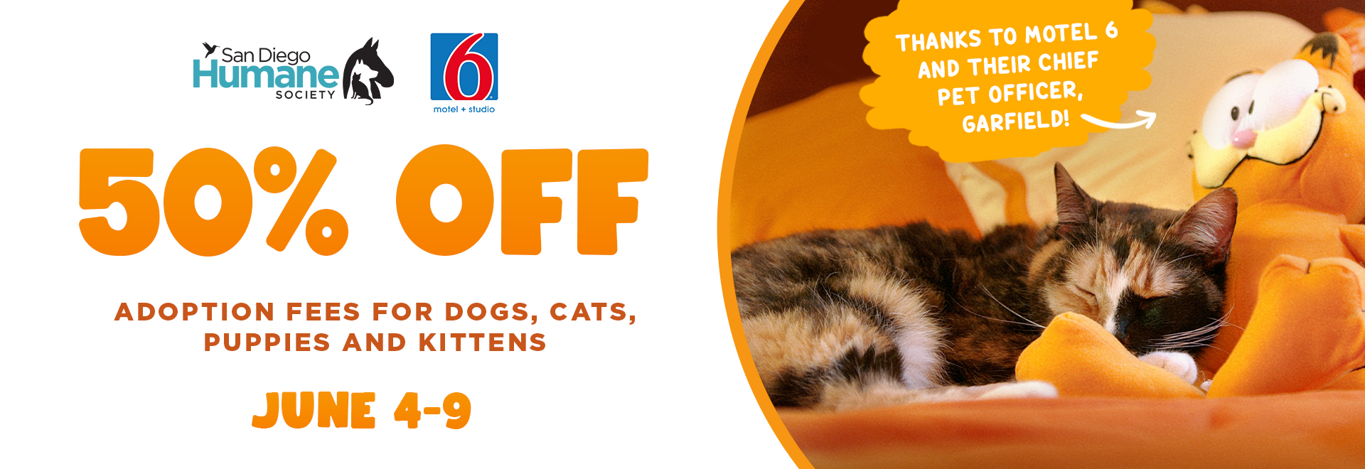 50% Off adoption fees for dogs, cats, puppies and kittens | June 4-9