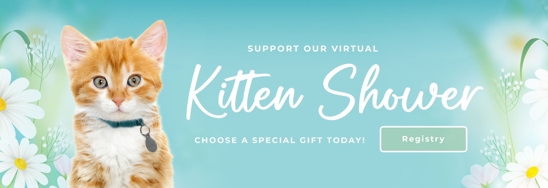 Support our virtual Kitten Shower. Choose a special gift today!