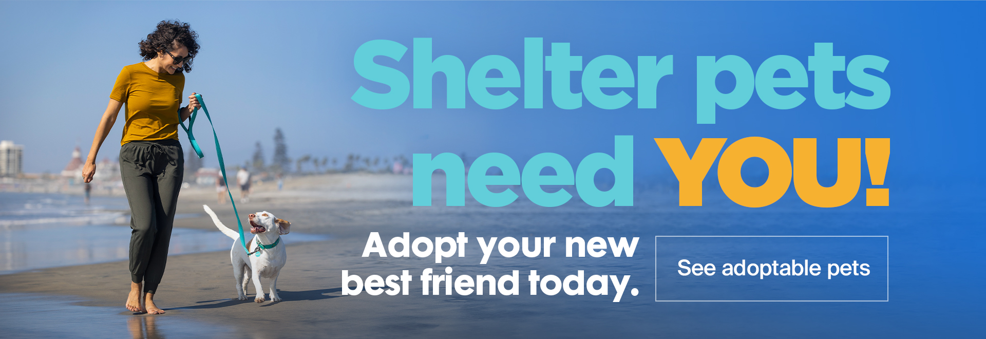 Shelter pets need YOU! Adopt you new best friend today. See adoptable pets