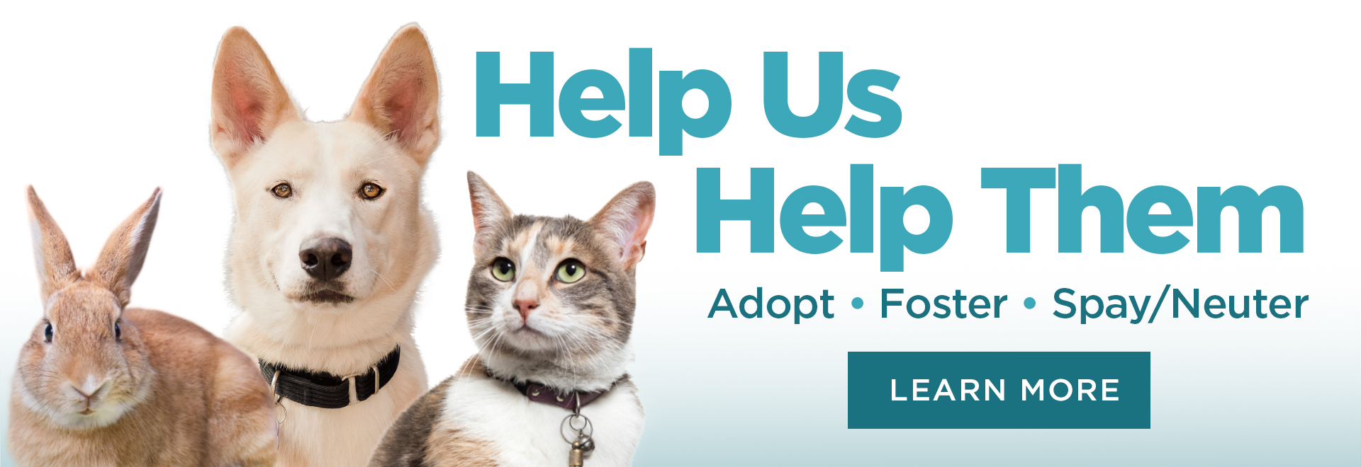 Help Us, Help Them | Adopt Foster Spay/Neuter