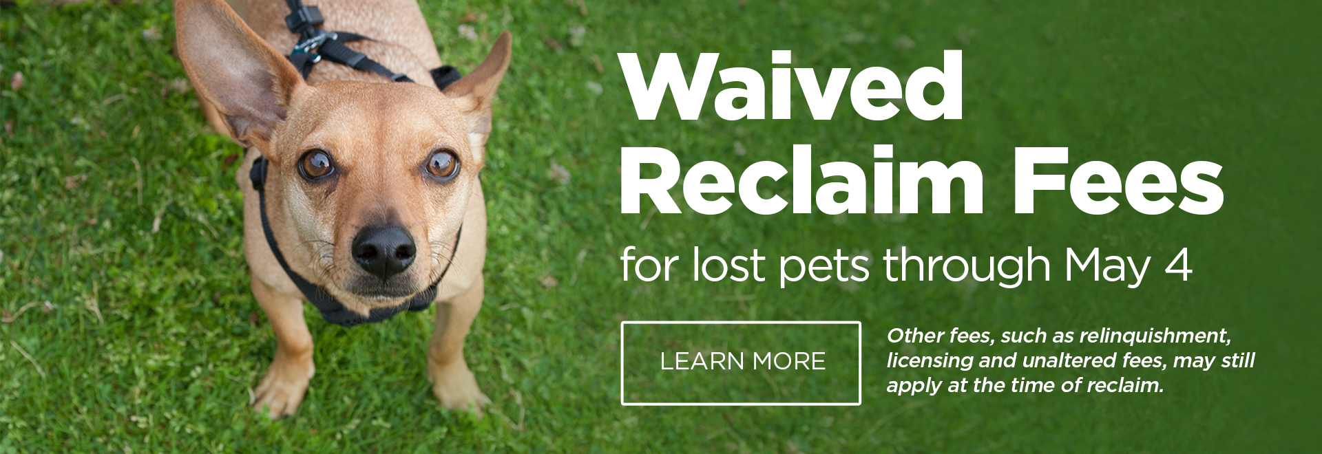 Waived Reclaim Fees for lost pets through May 4 | Other fees, including those related to relinquishment, licensing, spay/neuter and humane law enforcement, may still apply
