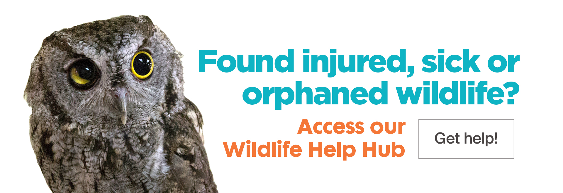 Found injured, sick or orphaned wildlife? Access our Wildlife Help Hub - Get Help!