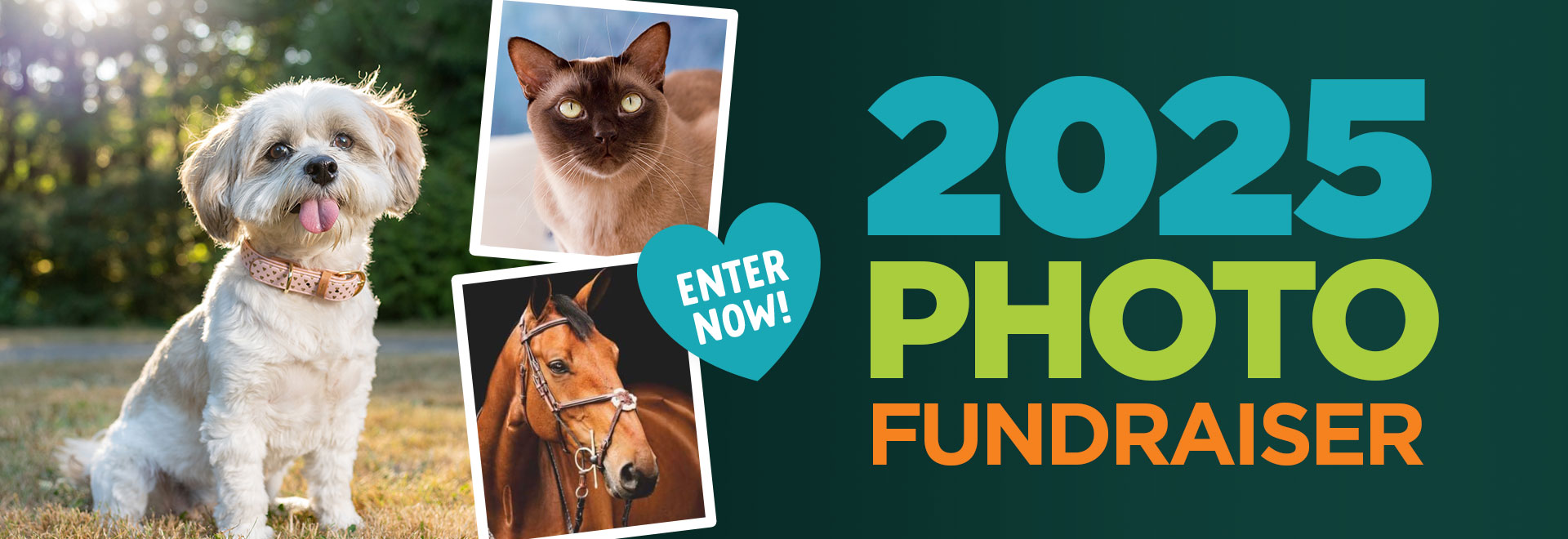 2025 Photo Fundraiser - Enter Now