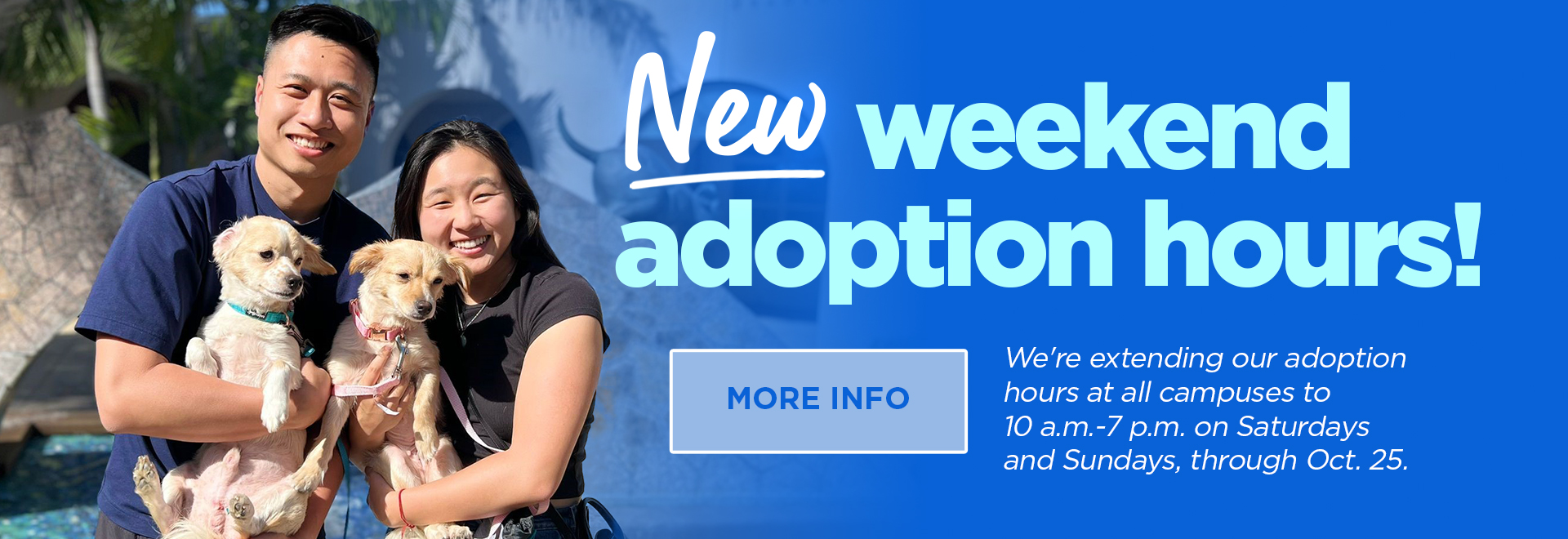 New weekend adoption hours! We're extending our adoptoin hours at all campuses to 10 a.m. - 7 p.m. on Saturdays & Sundays, through Oct. 25