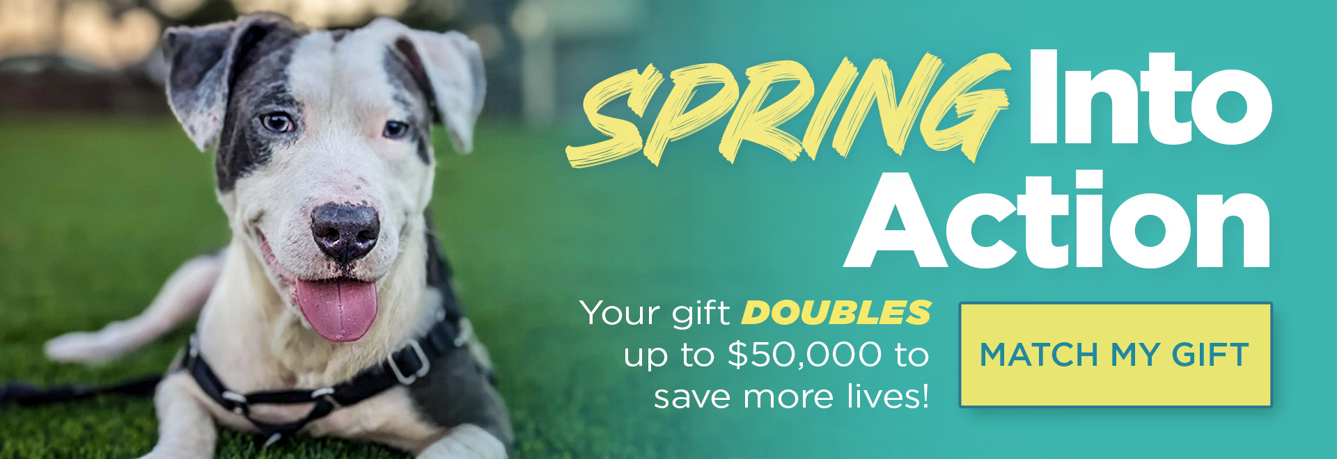 Spring into action | Your gift doubles up to $50,000 to save more lives! Match My Gift