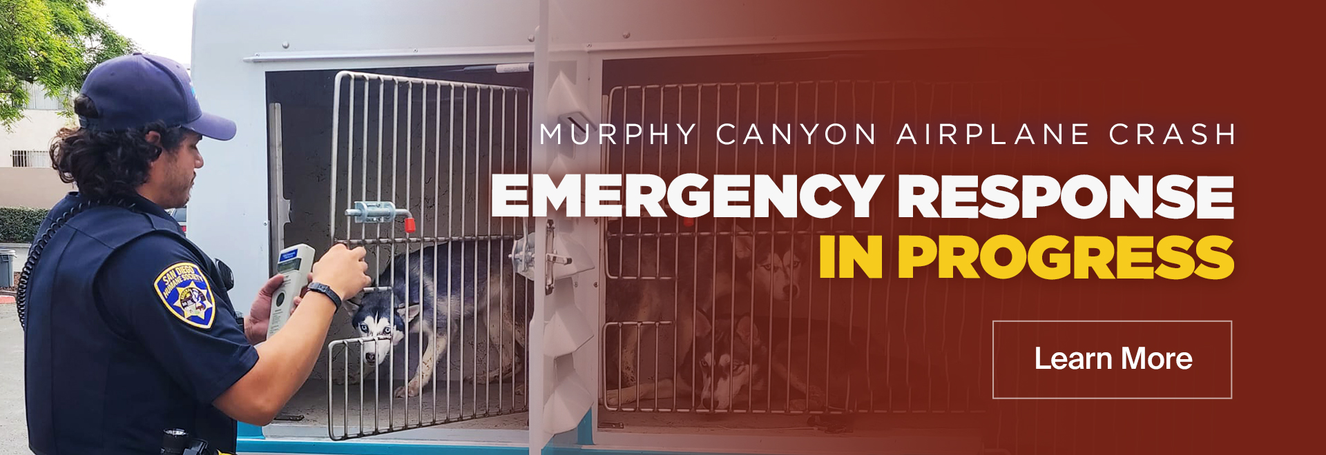 Murphy Canyon Airplane Crash | Emergency Response In Progress | Learn More