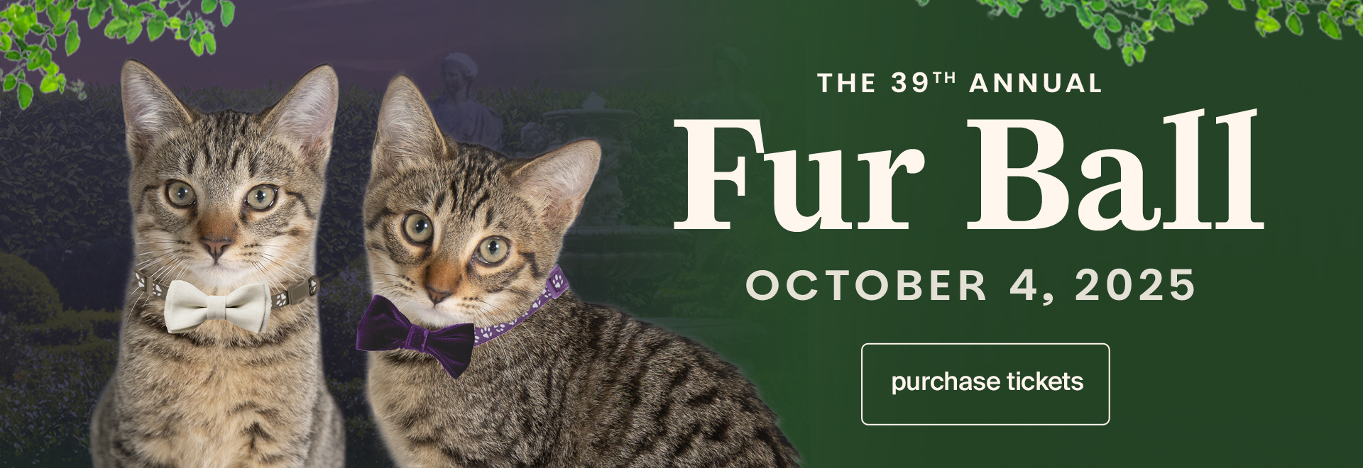 The 39th Annual Fur Ball Oct 4, 2025 | Purchase Tickets