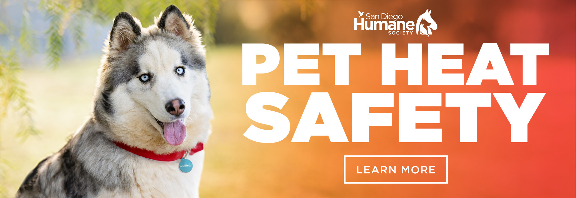 Pet Heat Safety | Learn More