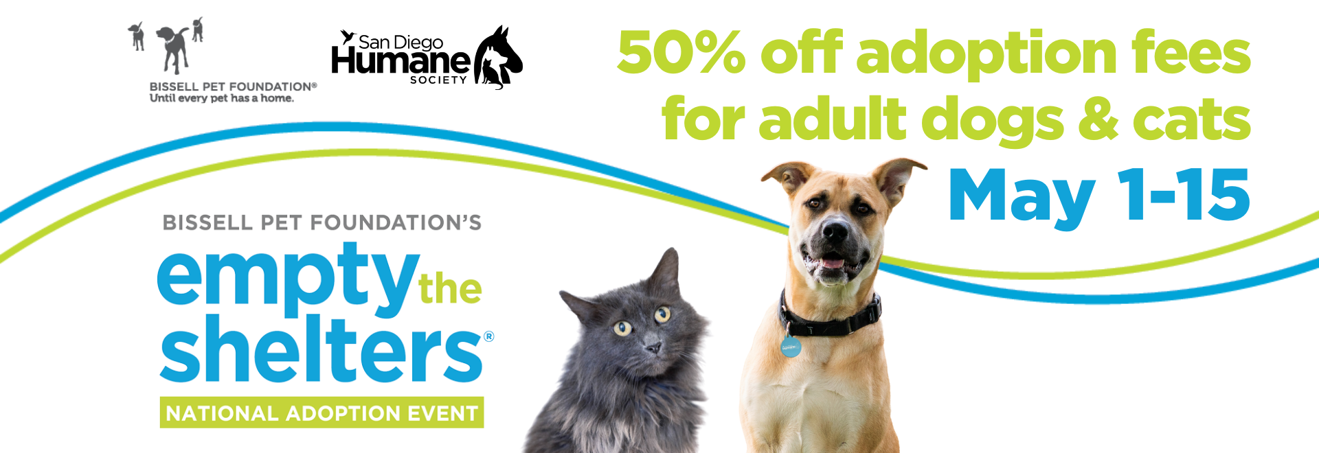 50% off adoption fees for adult dogs & cats | May 1-15