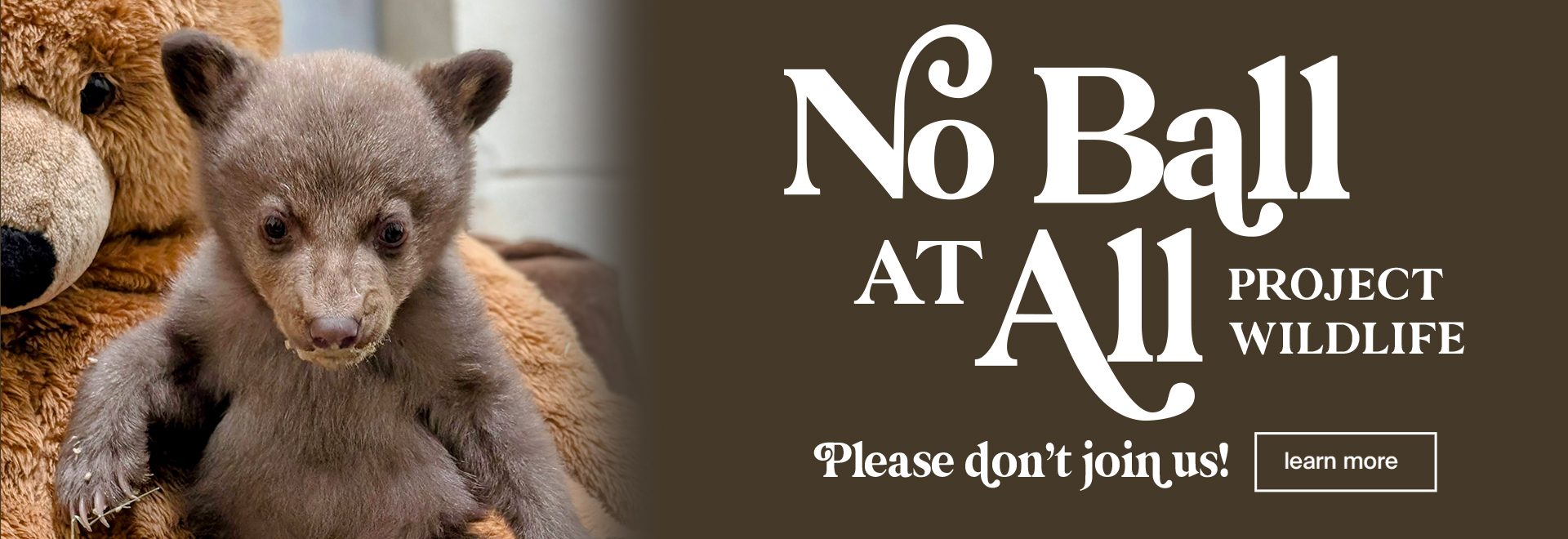 No Ball At All Project Wildlife | Please don't join us | Learn More