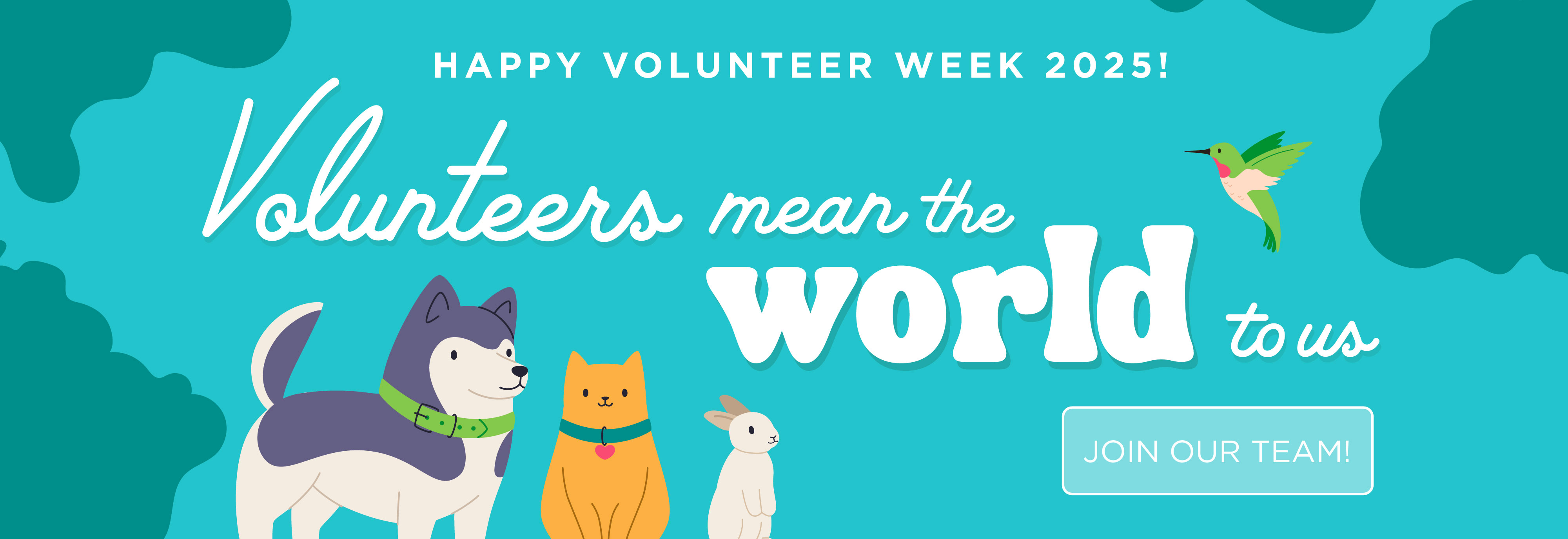 Happy Volunteer Week 2025 | Volunteers mean the world to us | Join our team