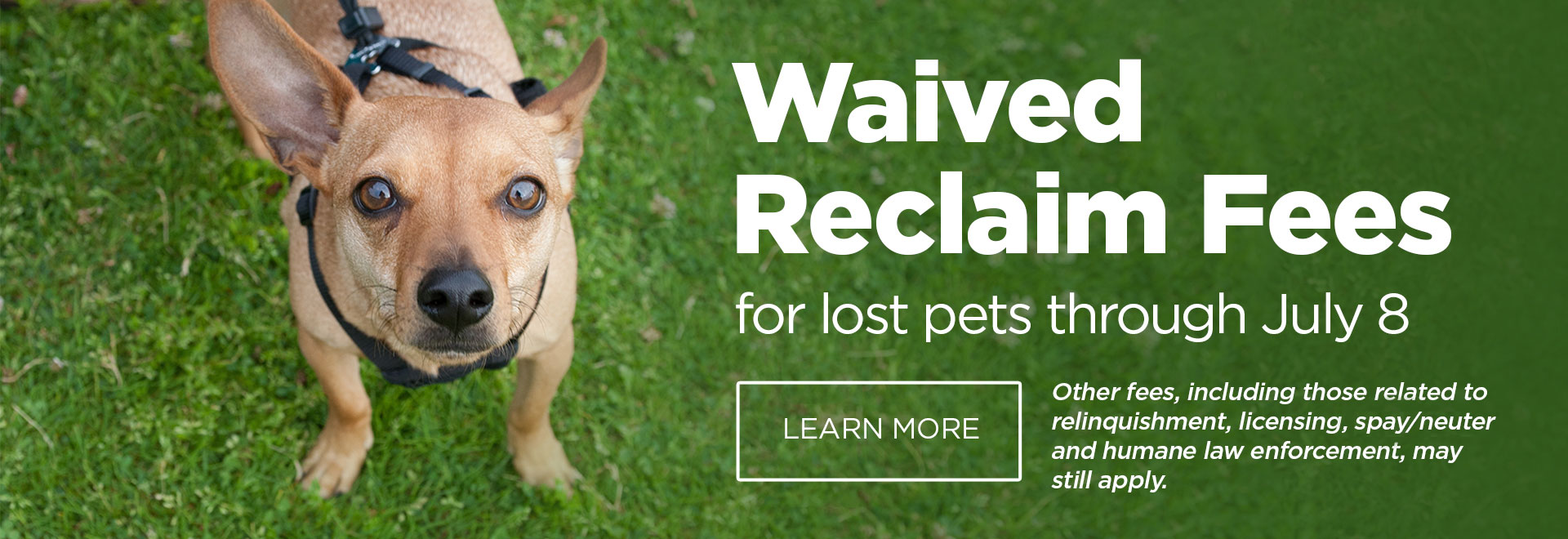Waived reclaim fees for lost pets through July 8 | Other fees, including those related to relunquishment, licensing spay/neuter and humane law enforcement, may still apply | Learn More
