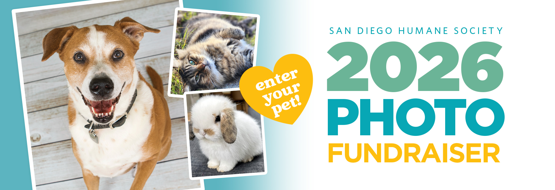 San Diego Humane Society 2026 Photo Fundraiser | Enter Your Pet