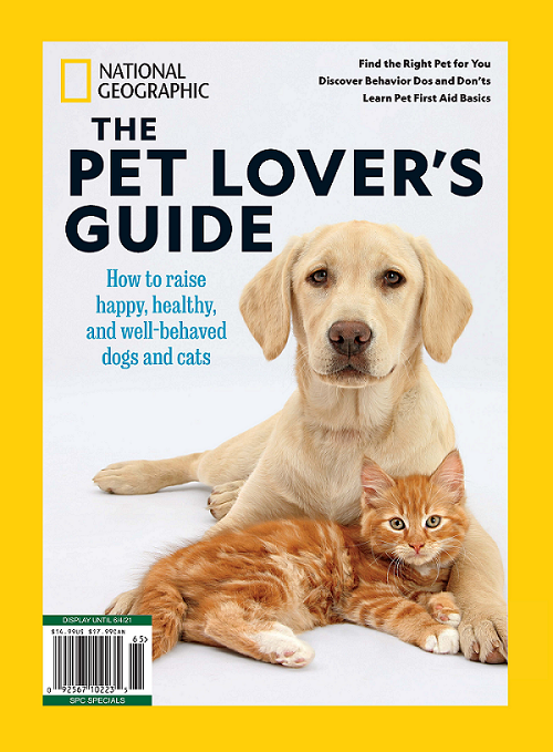 The Definitive Guide to Cat Behavior and Body Language – tuft + paw