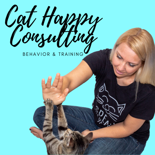 Clicker training for cats