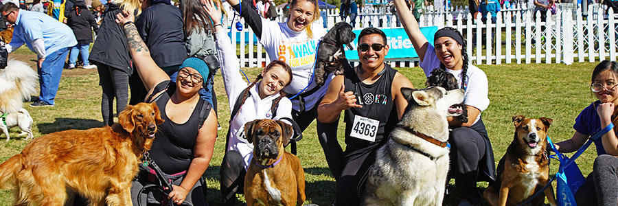 Join San Diego Humane Society at the Walk for Animals!