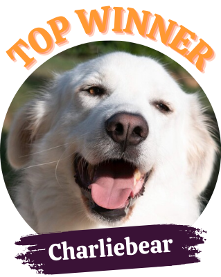 Top winner - Charliebear
